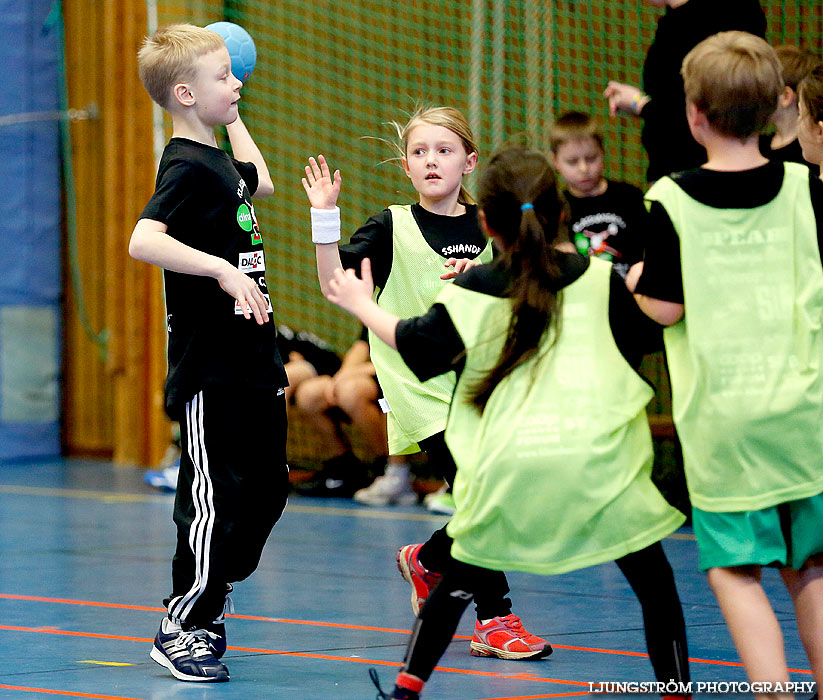 Klasshandboll Skövde 2014 Åldersklass 2005,mix,Arena Skövde,Skövde,Sverige,Handboll,,2014,80710