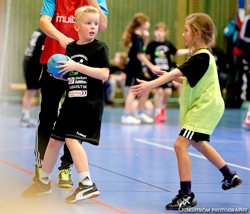 Klasshandboll Skövde 2014 Åldersklass 2005,mix,Arena Skövde,Skövde,Sverige,Handboll,,2014,80730