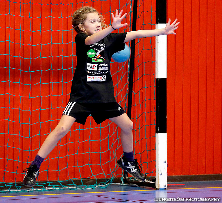 Klasshandboll Skövde 2014 Åldersklass 2005,mix,Arena Skövde,Skövde,Sverige,Handboll,,2014,80904