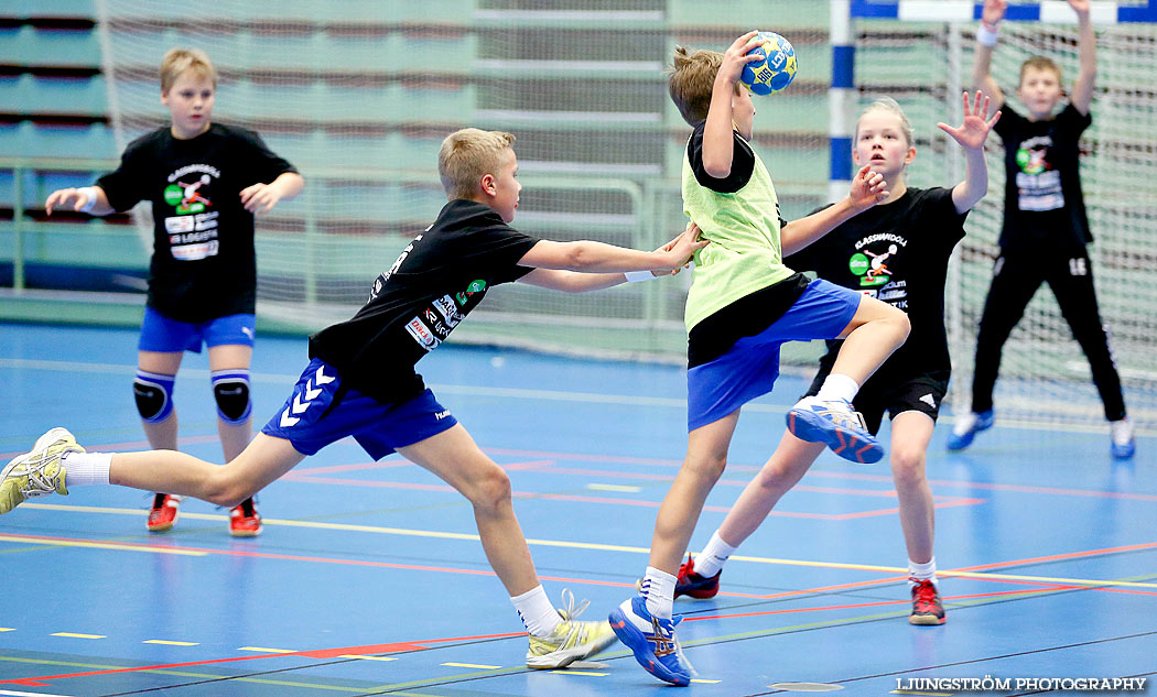 Klasshandboll Skövde 2014 Åldersklass 2002,mix,Arena Skövde,Skövde,Sverige,Handboll,,2014,81500