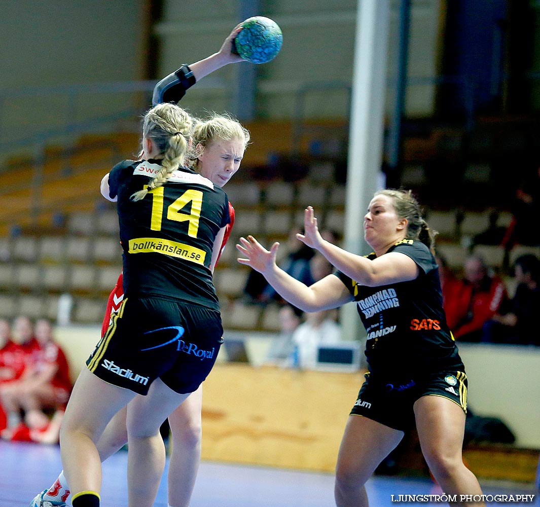 HF Somby/Skövde-HK S-hof 21-25,dam,Skövde Idrottshall,Skövde,Sverige,Handboll,,2014,83428