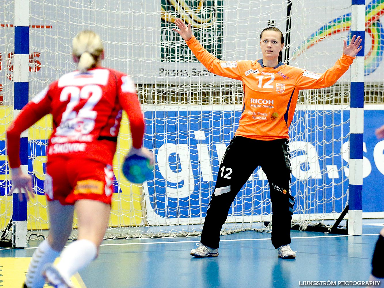 Skövde HF-Höörs HK H65 1/4-final 4 21-32,dam,Arena Skövde,Skövde,Sverige,Handboll,,2014,91046