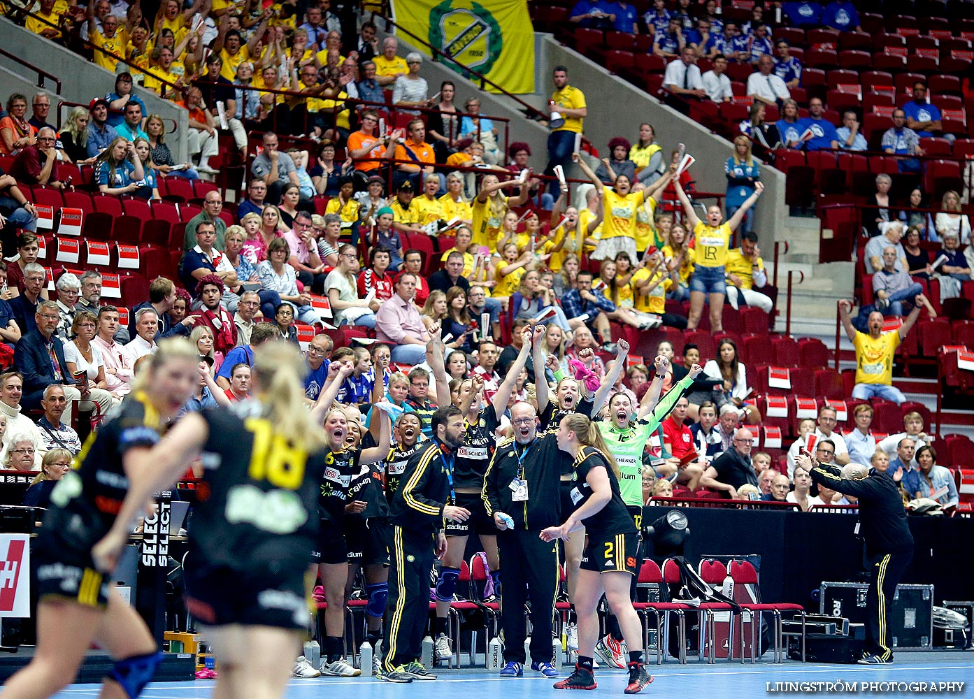 IK Sävehof-Skuru IK SM-FINAL Damer 38-20,dam,Malmö Arena,Malmö,Sverige,Handboll,,2014,88254