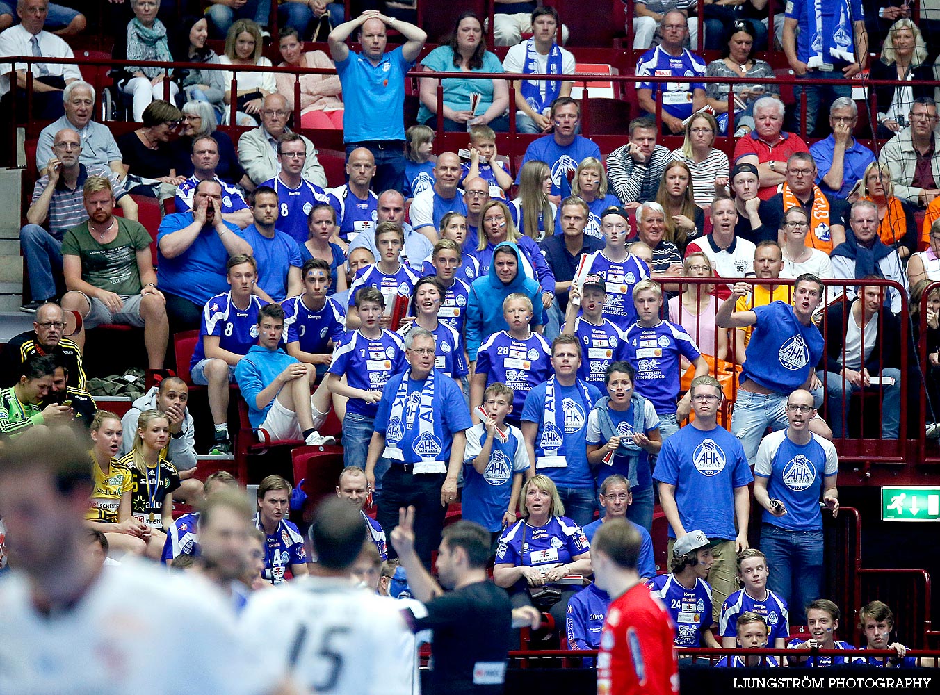 Alingsås HK-Lugi HF SM-FINAL Herrar 24-22,herr,Malmö Arena,Malmö,Sverige,Handboll,,2014,88529