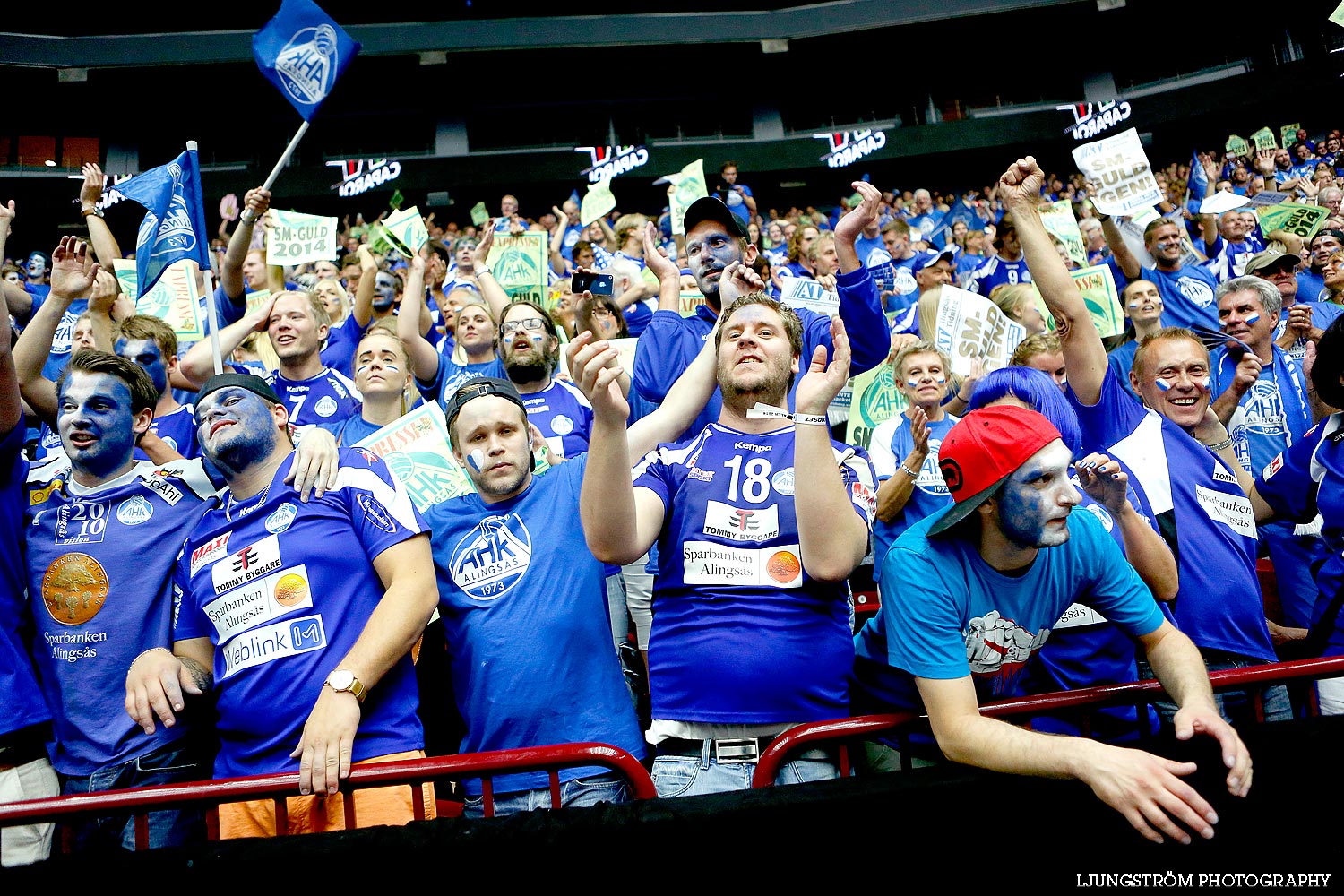 Alingsås HK-Lugi HF SM-FINAL Herrar 24-22,herr,Malmö Arena,Malmö,Sverige,Handboll,,2014,88735