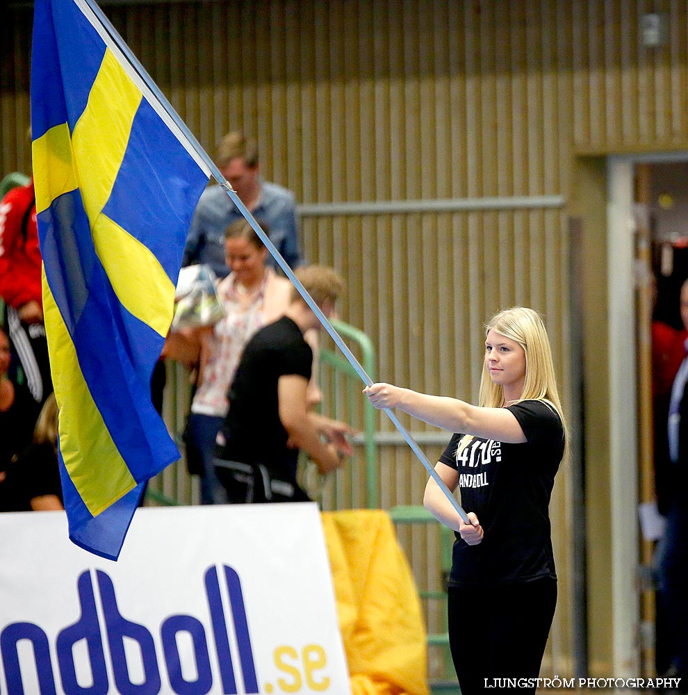 Landskamp Sverige-Norge 21-25,herr,Arena Skövde,Skövde,Sverige,Handboll,,2014,88932