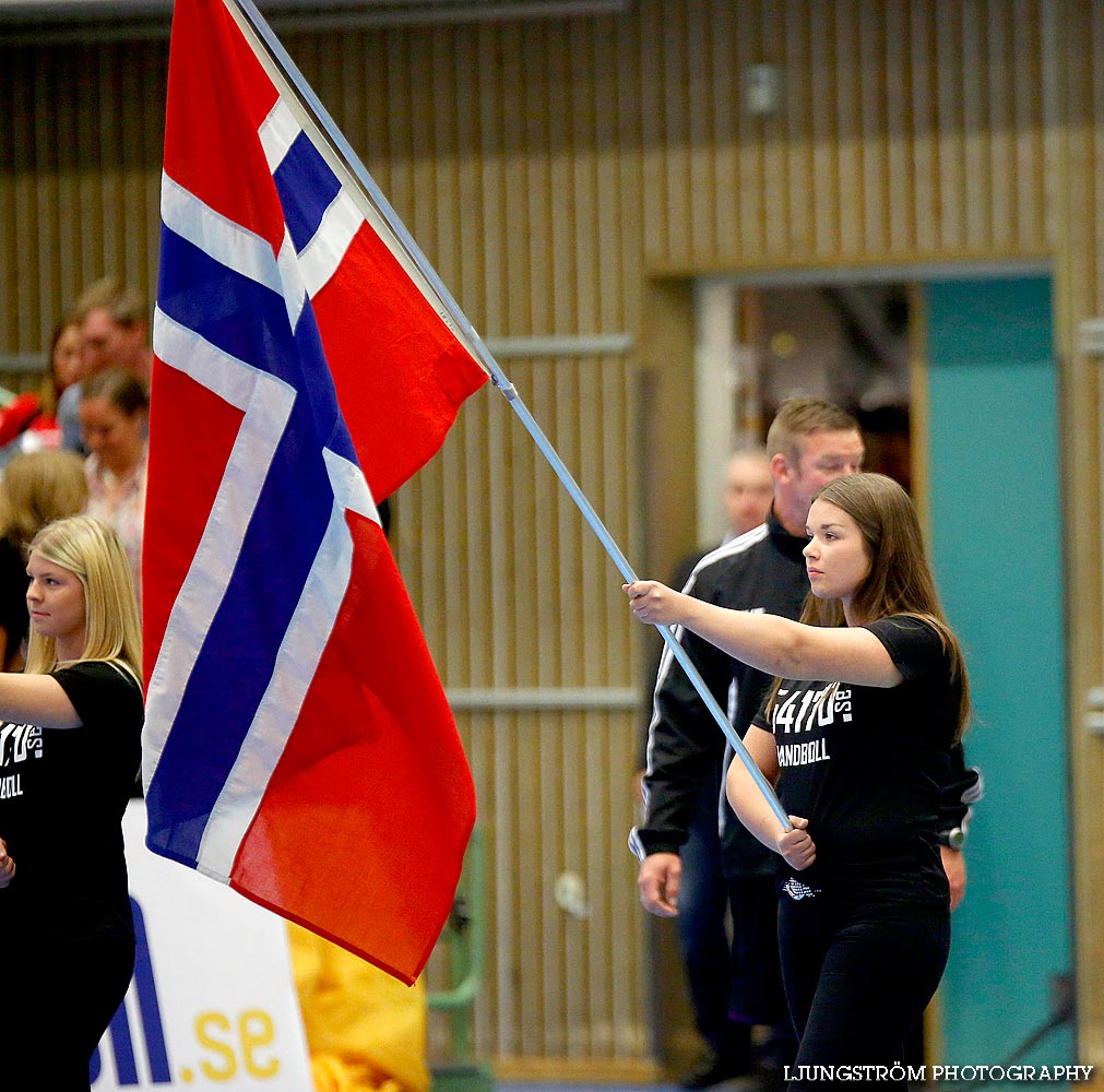 Landskamp Sverige-Norge 21-25,herr,Arena Skövde,Skövde,Sverige,Handboll,,2014,88933