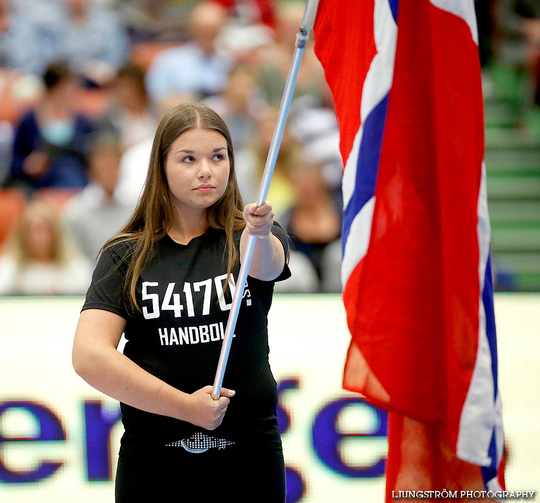 Landskamp Sverige-Norge 21-25,herr,Arena Skövde,Skövde,Sverige,Handboll,,2014,88937