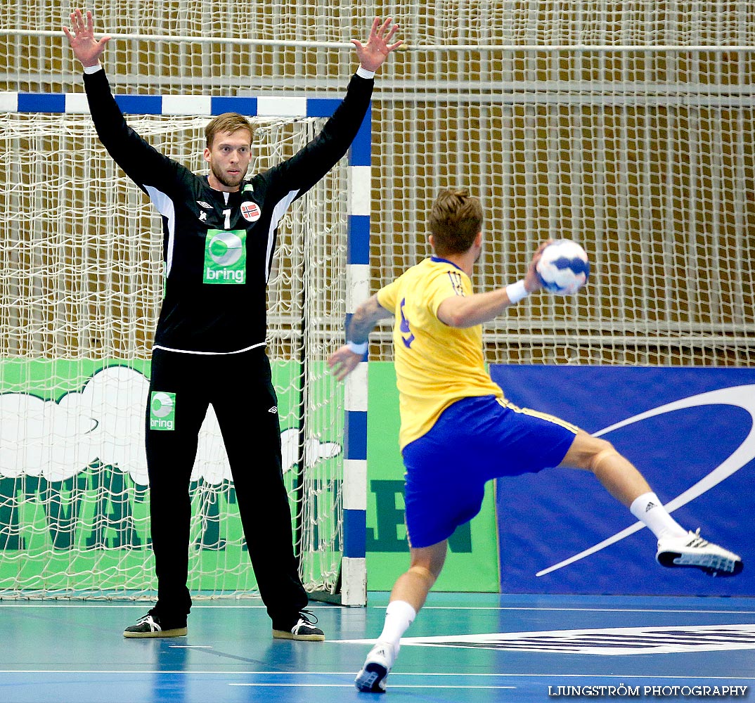 Landskamp Sverige-Norge 21-25,herr,Arena Skövde,Skövde,Sverige,Handboll,,2014,89008