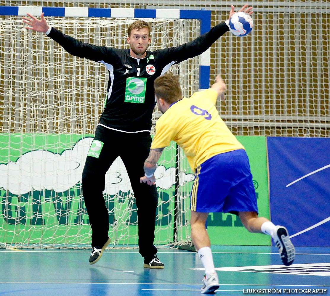 Landskamp Sverige-Norge 21-25,herr,Arena Skövde,Skövde,Sverige,Handboll,,2014,89009