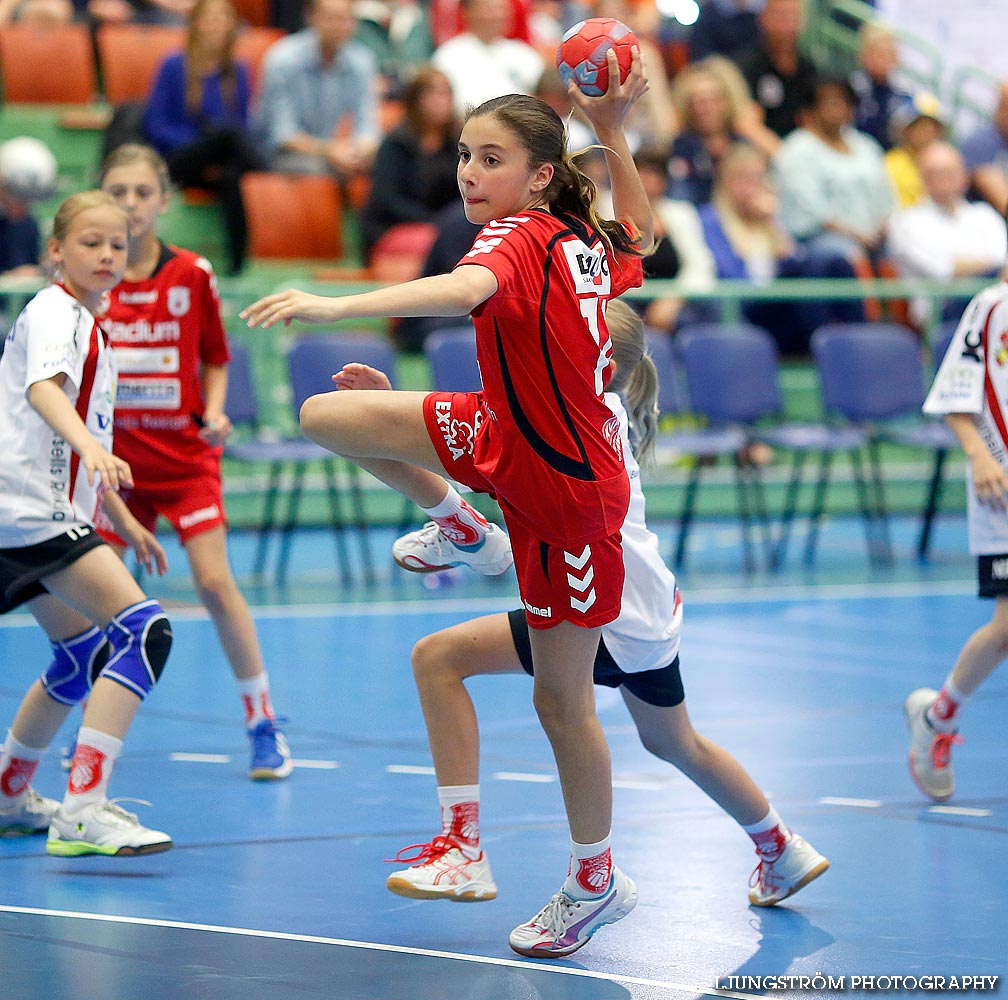 Landskamp Sverige-Norge 21-25,herr,Arena Skövde,Skövde,Sverige,Handboll,,2014,89050