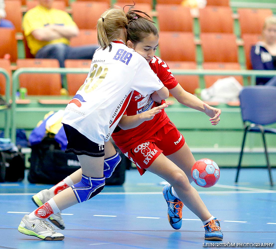 Landskamp Sverige-Norge 21-25,herr,Arena Skövde,Skövde,Sverige,Handboll,,2014,89058