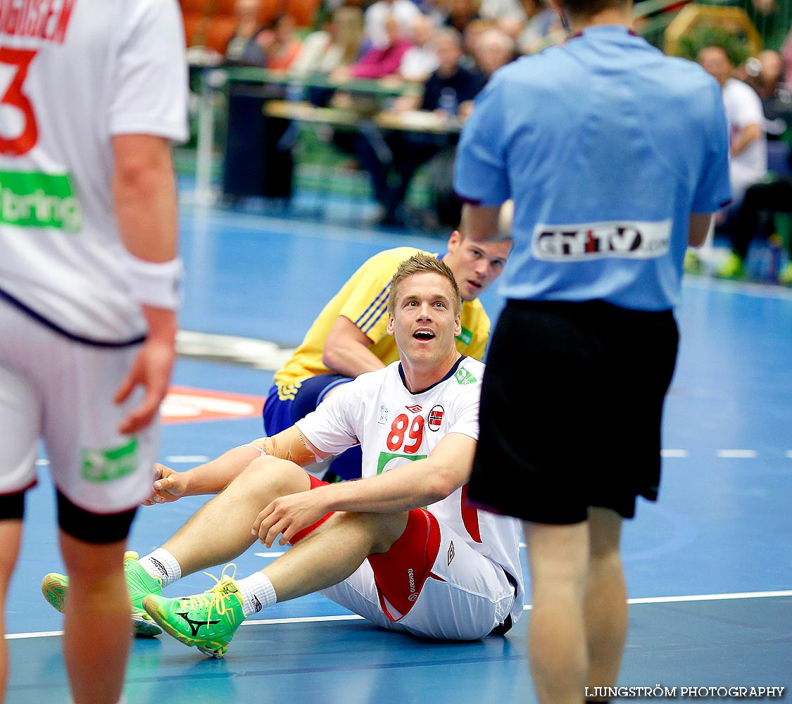 Landskamp Sverige-Norge 21-25,herr,Arena Skövde,Skövde,Sverige,Handboll,,2014,89092