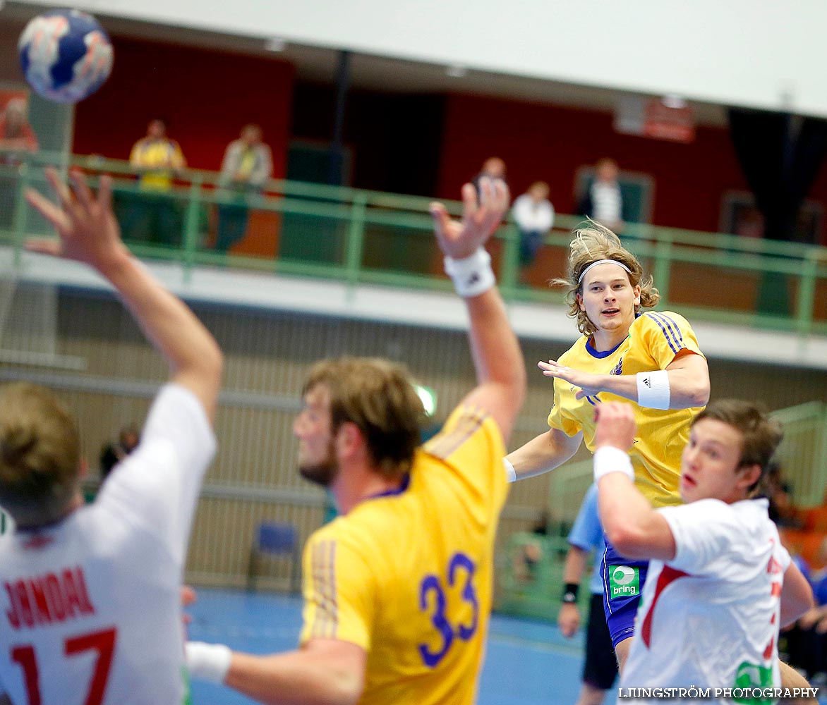 Landskamp Sverige-Norge 21-25,herr,Arena Skövde,Skövde,Sverige,Handboll,,2014,89094