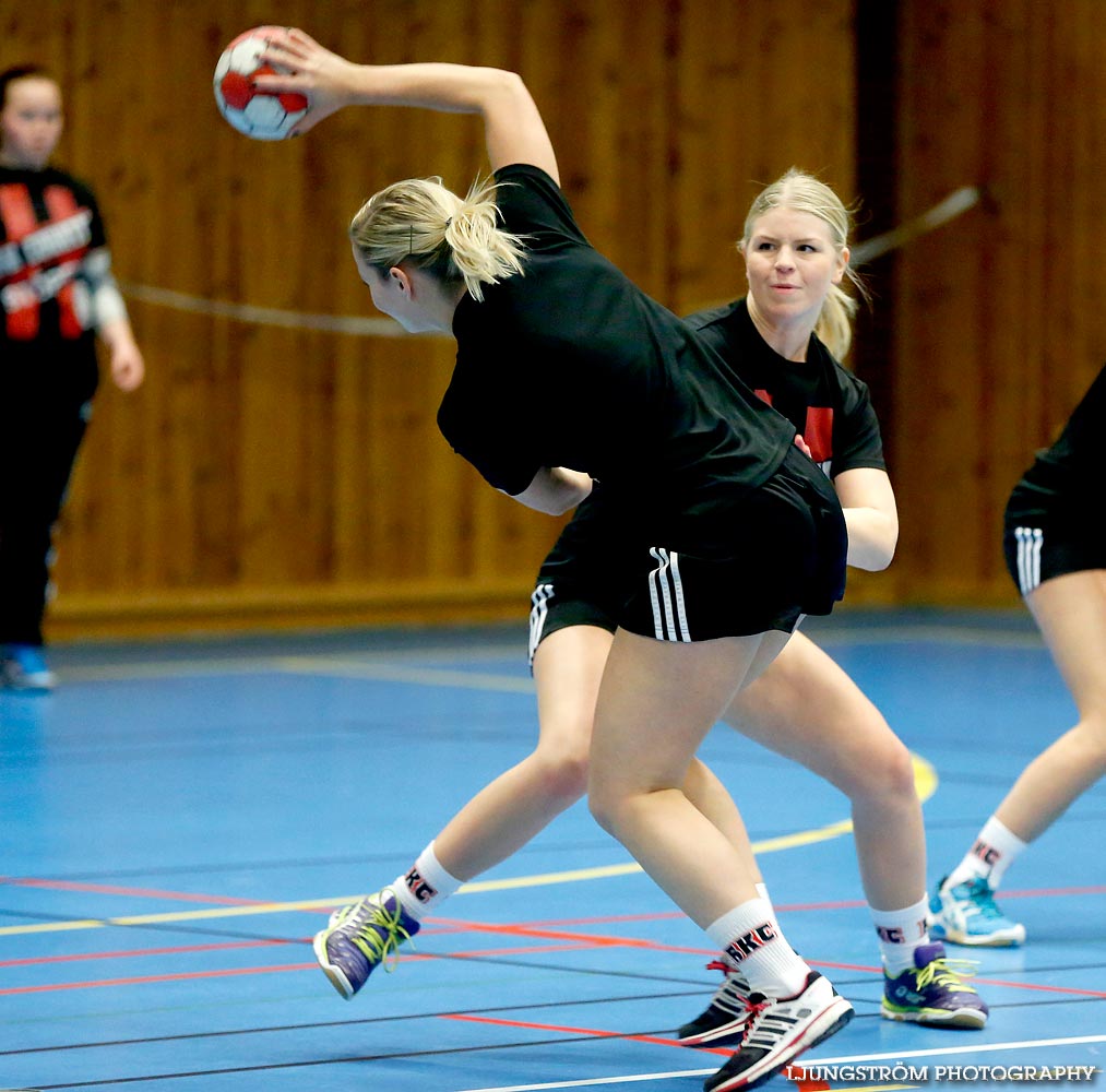 HK Country-IFK Bankeryd 23-26,dam,Stöpenhallen,Stöpen,Sverige,Handboll,,2014,96851