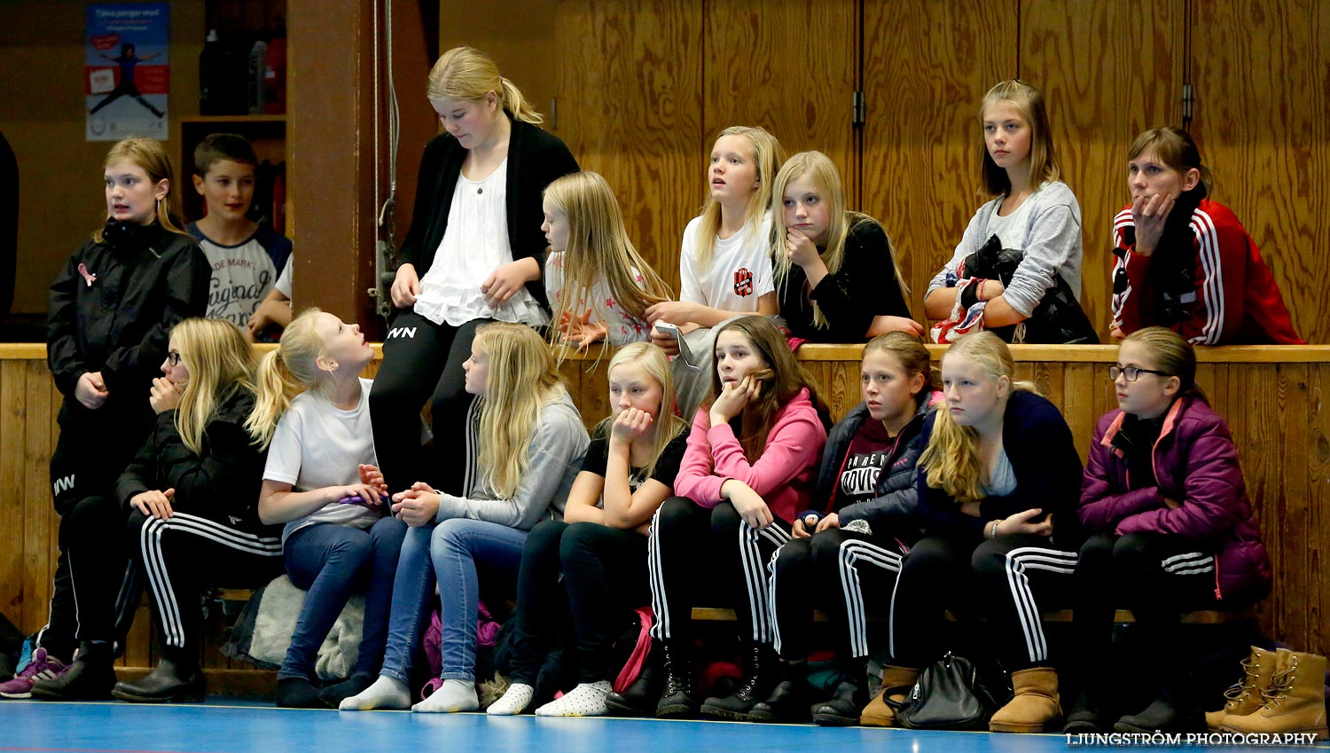 HK Country-IFK Bankeryd 23-26,dam,Stöpenhallen,Stöpen,Sverige,Handboll,,2014,96965