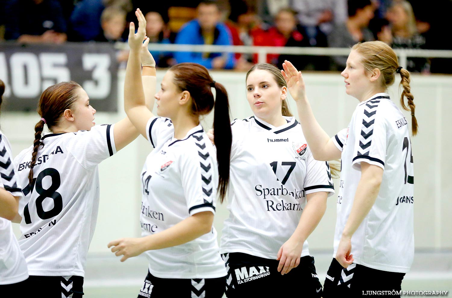 Skara HF-Eskilstuna Guif 23-24,dam,Skara Idrottshall,Skara,Sverige,Handboll,,2014,95728