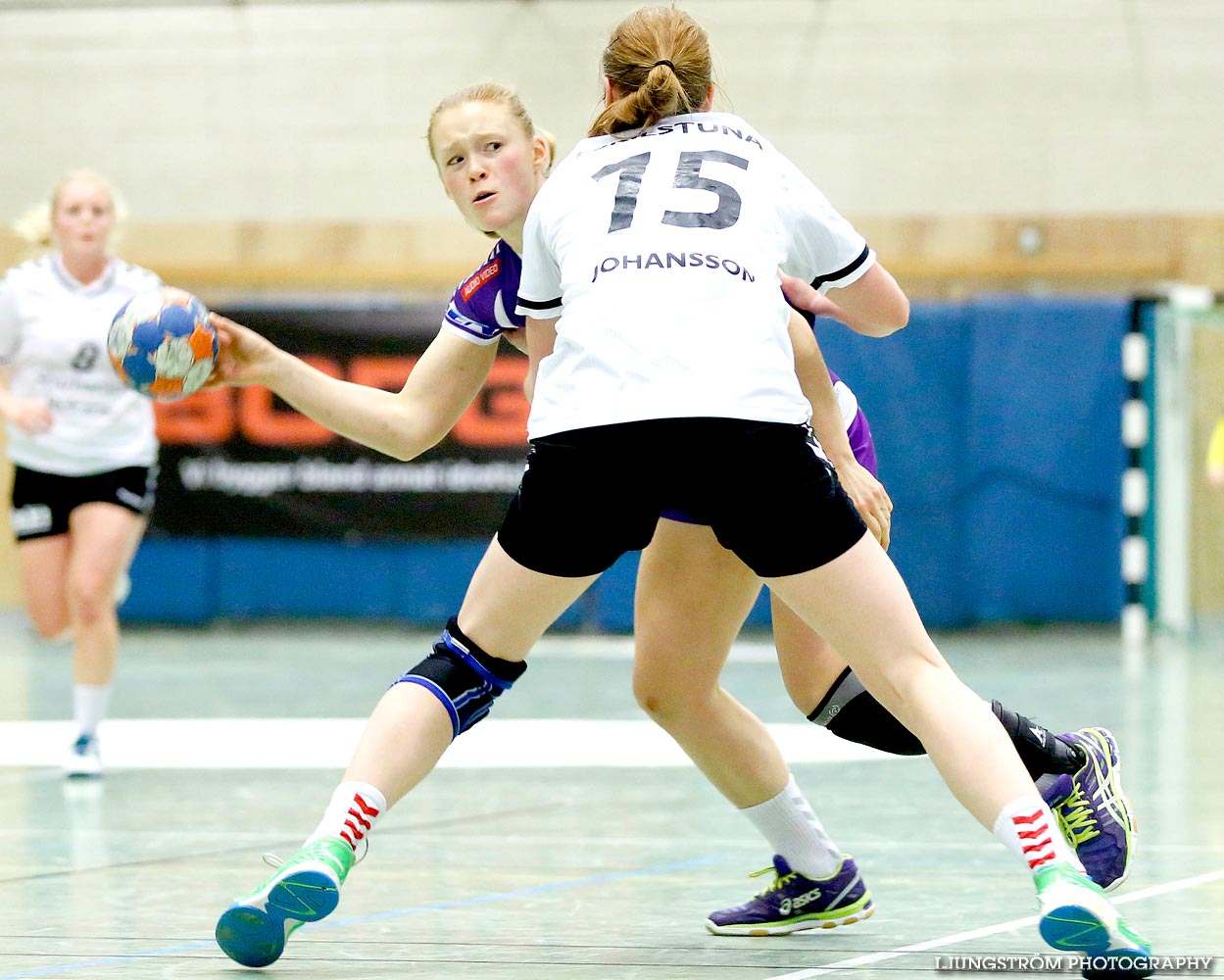 Skara HF-Eskilstuna Guif 23-24,dam,Skara Idrottshall,Skara,Sverige,Handboll,,2014,95906