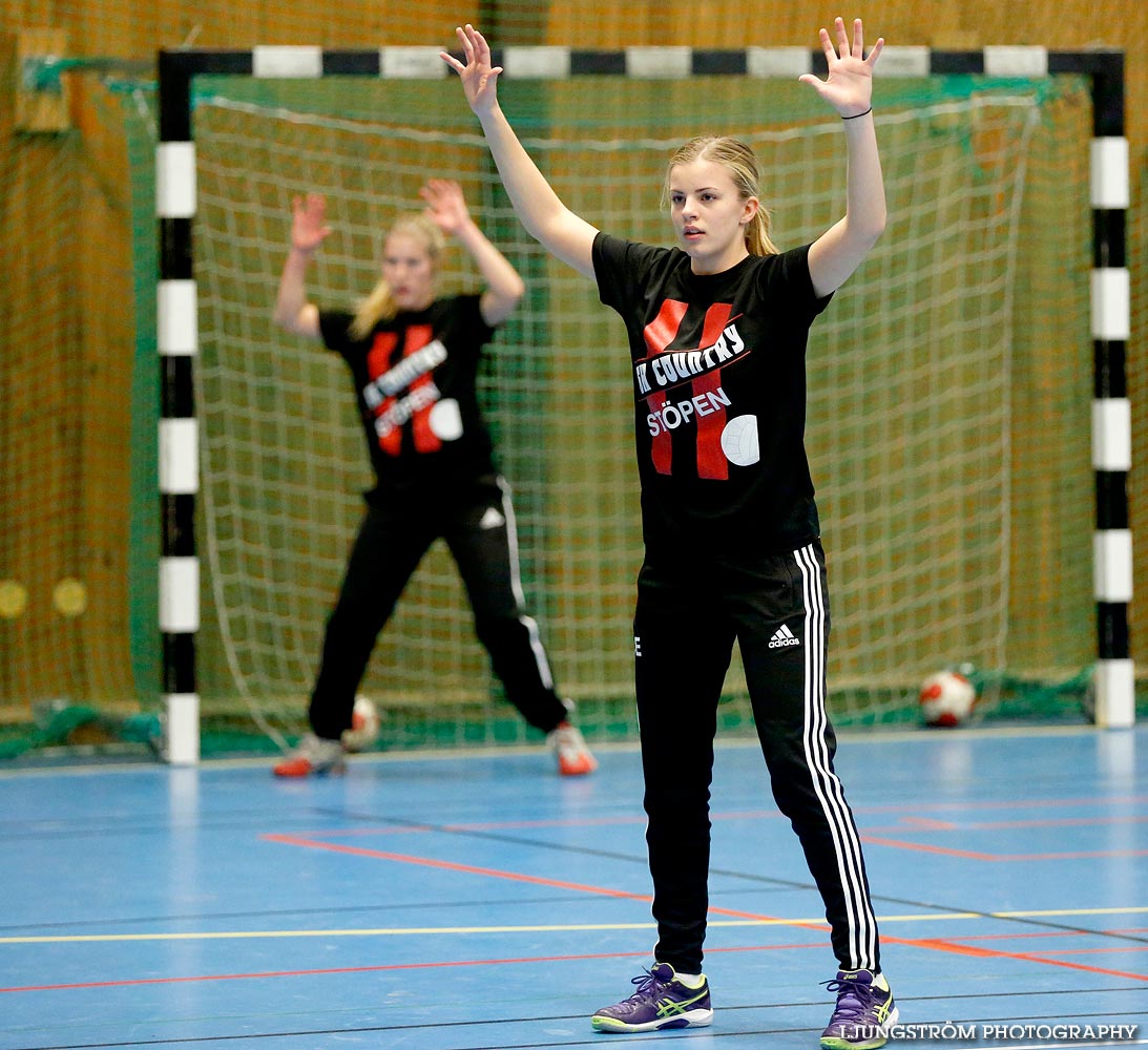 HK Country-Falköpings AIK HK 16-29,dam,Stöpenhallen,Stöpen,Sverige,Handboll,,2014,100111