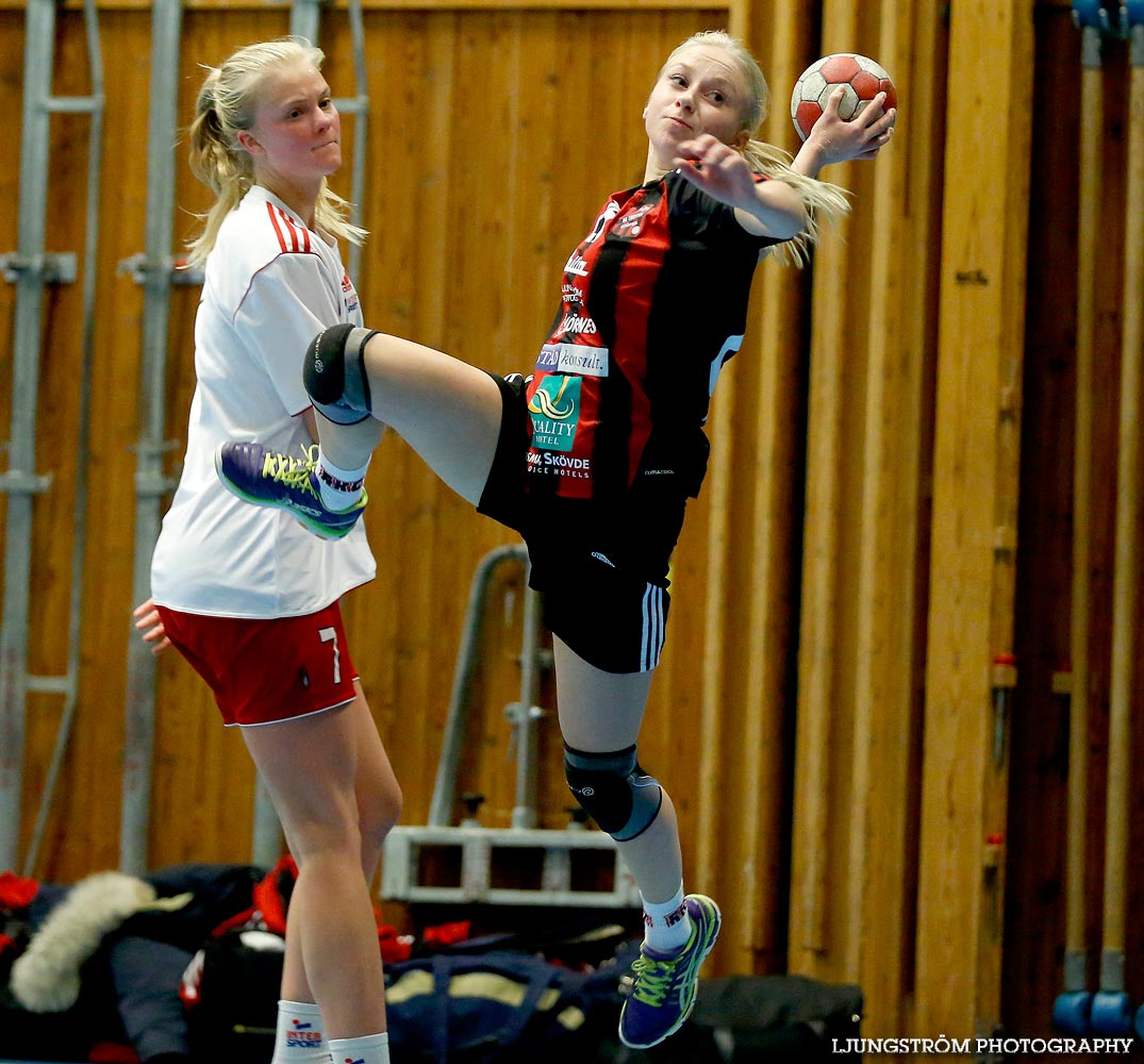 HK Country-Falköpings AIK HK 16-29,dam,Stöpenhallen,Stöpen,Sverige,Handboll,,2014,100145