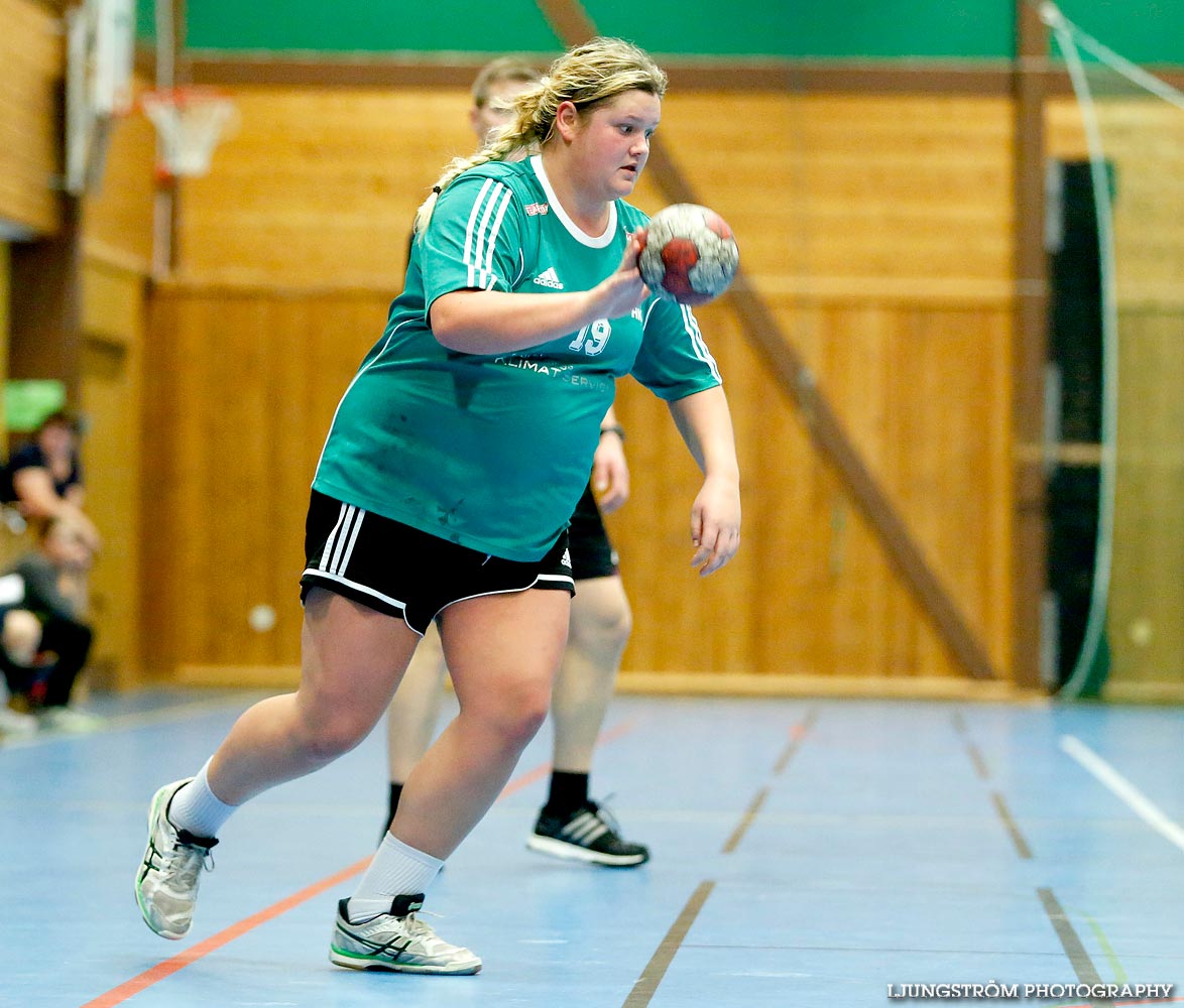 HK Country-Tibro HK 25-27,dam,Stöpenhallen,Stöpen,Sverige,Handboll,,2014,105607