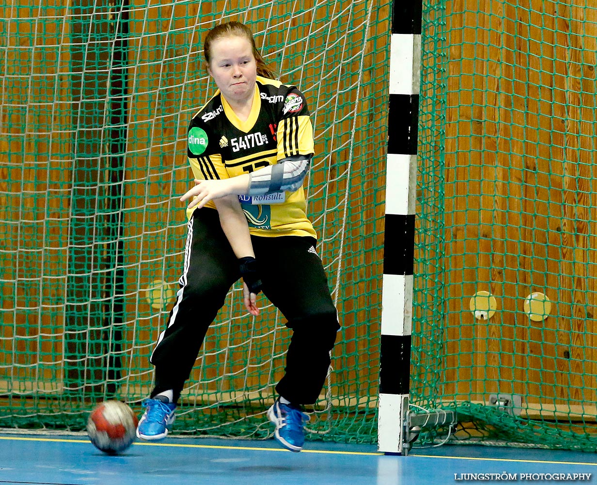 HK Country-Tibro HK 25-27,dam,Stöpenhallen,Stöpen,Sverige,Handboll,,2014,105676