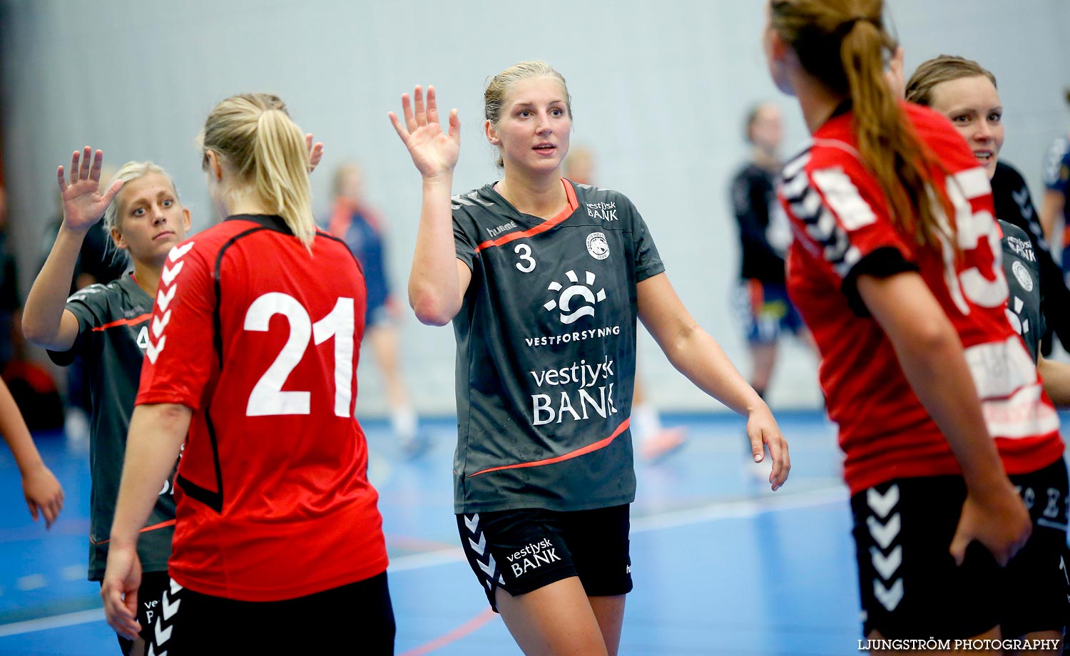 Annliz Cup Superelit Tvis Holsterbro-H65 Höör 33-30,dam,Arena Skövde,Skövde,Sverige,Annliz Cup 2015,Handboll,2015,121211