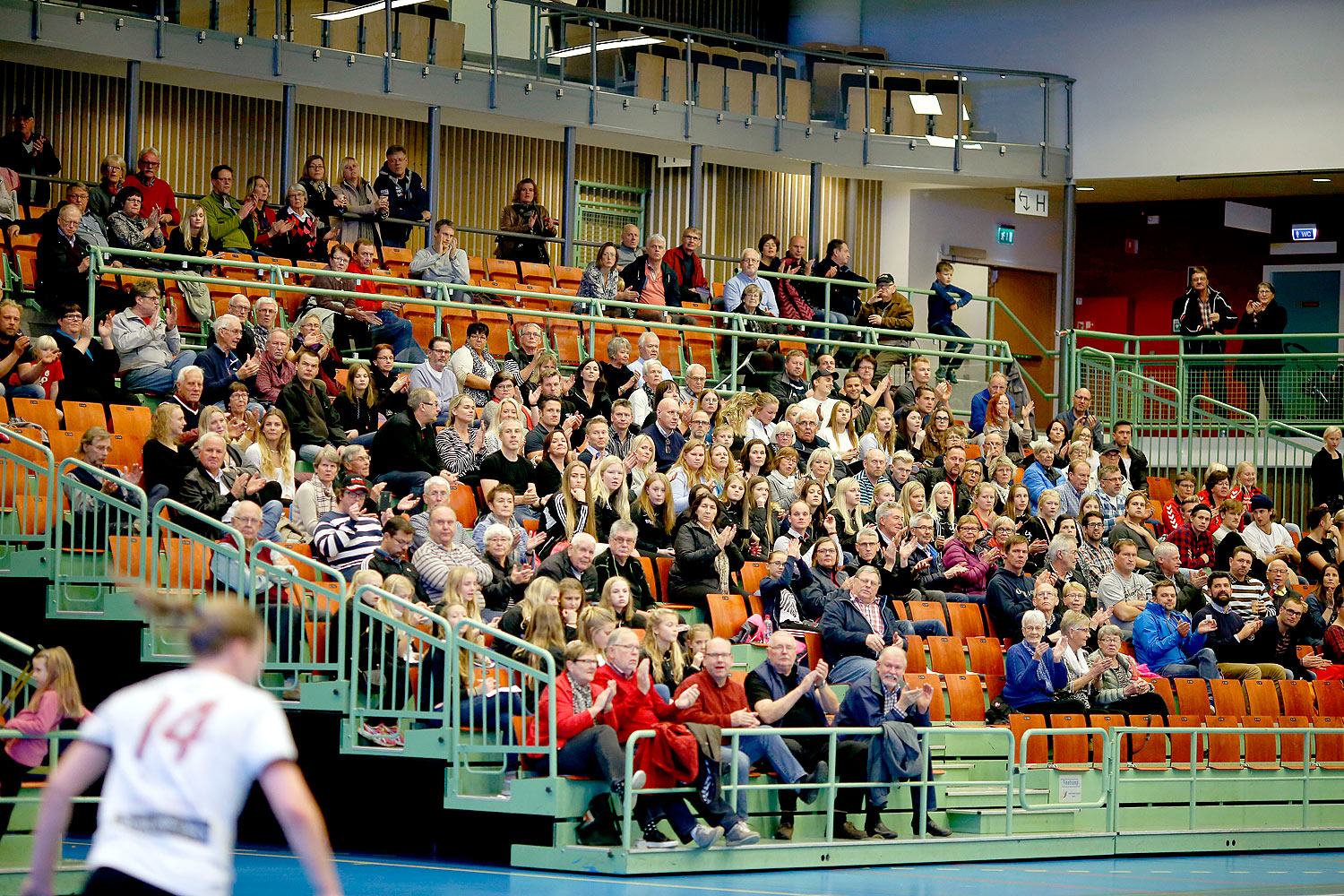 Skövde HF-Lugi HF 17-16,dam,Arena Skövde,Skövde,Sverige,Handboll,,2015,123821