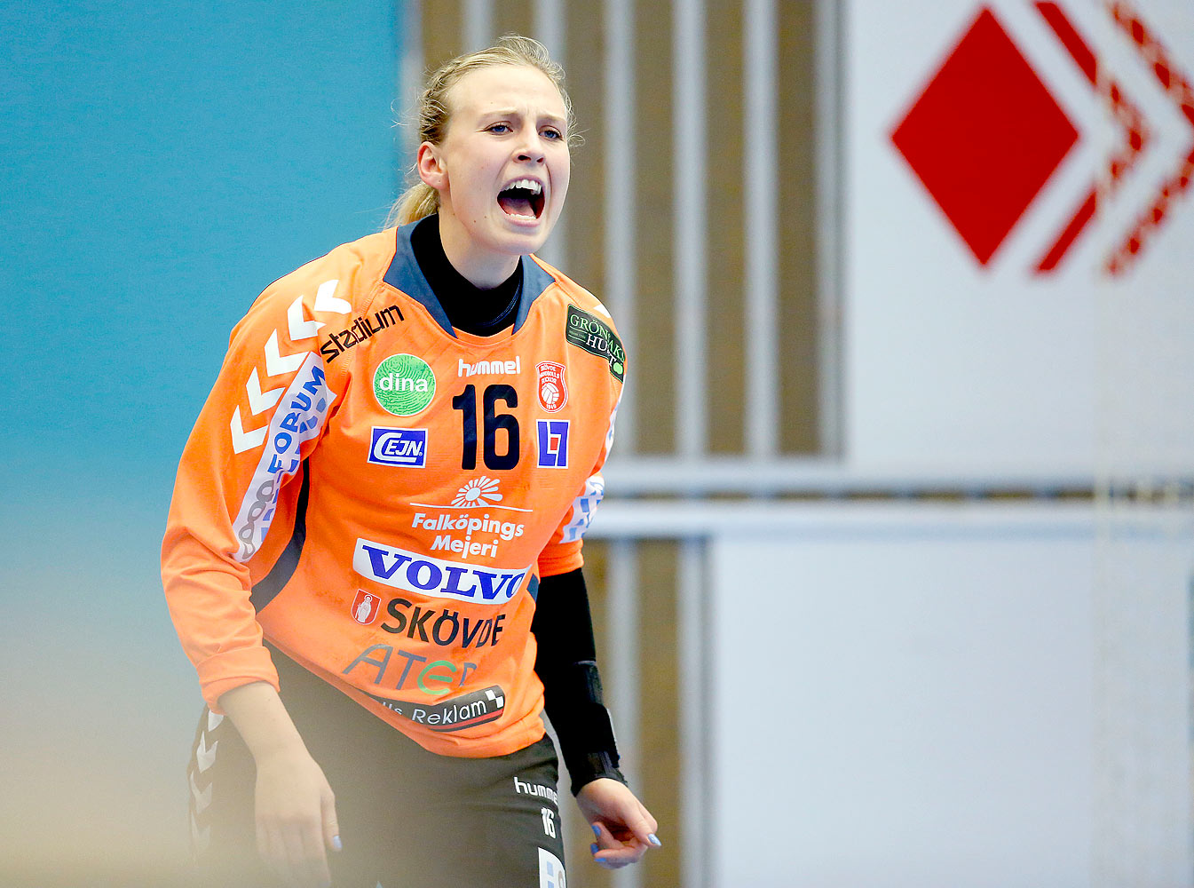 Skövde HF-Lugi HF 17-16,dam,Arena Skövde,Skövde,Sverige,Handboll,,2015,123831