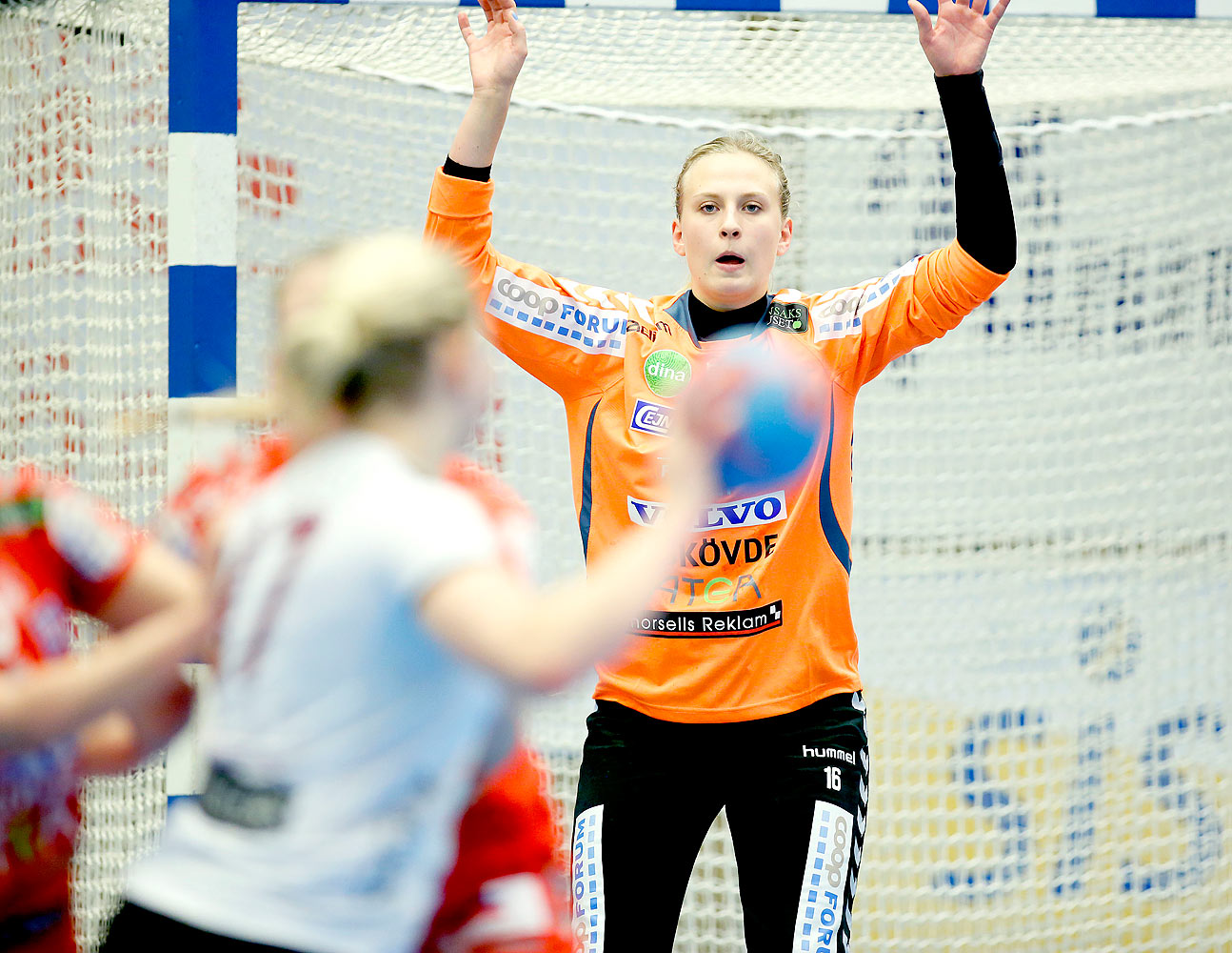 Skövde HF-Lugi HF 17-16,dam,Arena Skövde,Skövde,Sverige,Handboll,,2015,123834