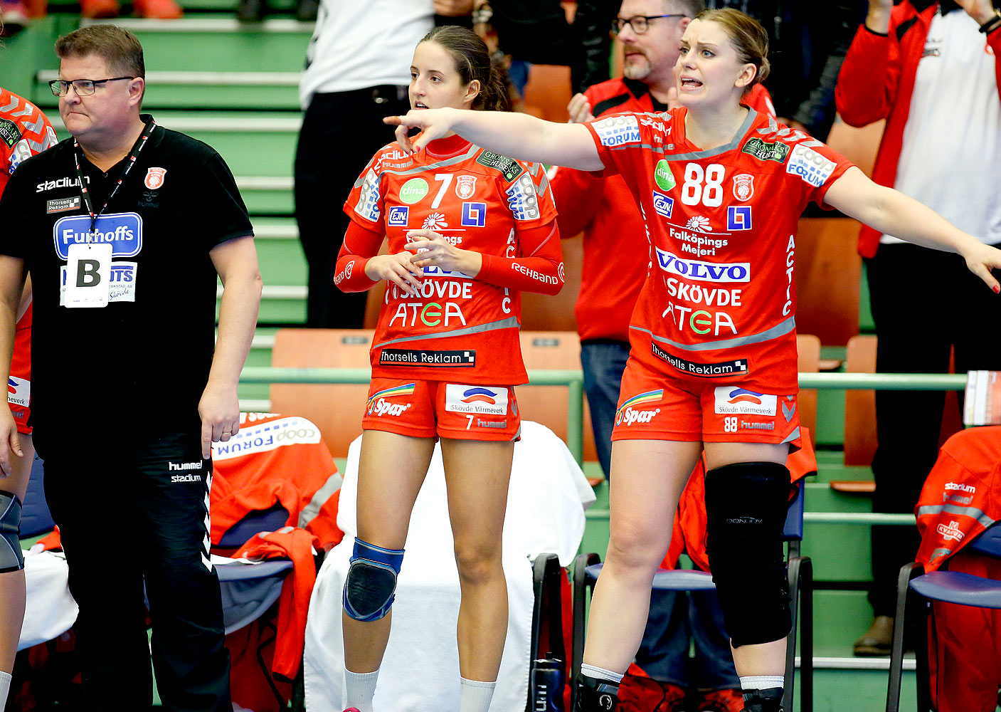 Skövde HF-Lugi HF 17-16,dam,Arena Skövde,Skövde,Sverige,Handboll,,2015,123890