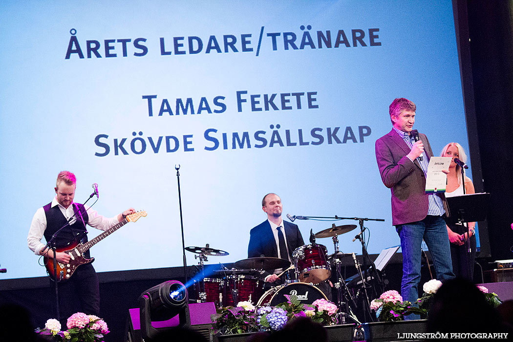 Skövde Idrottsgala 2014,mix,Arena Skövde,Skövde,Sverige,Konsert/Gala,,2014,81844