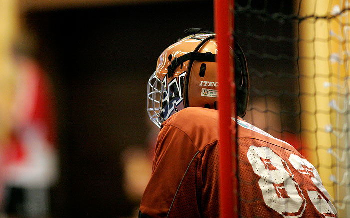 Skövde IB-Bergdalen,herr,Arena Skövde,Skövde,Sverige,Innebandy,,2006,11924