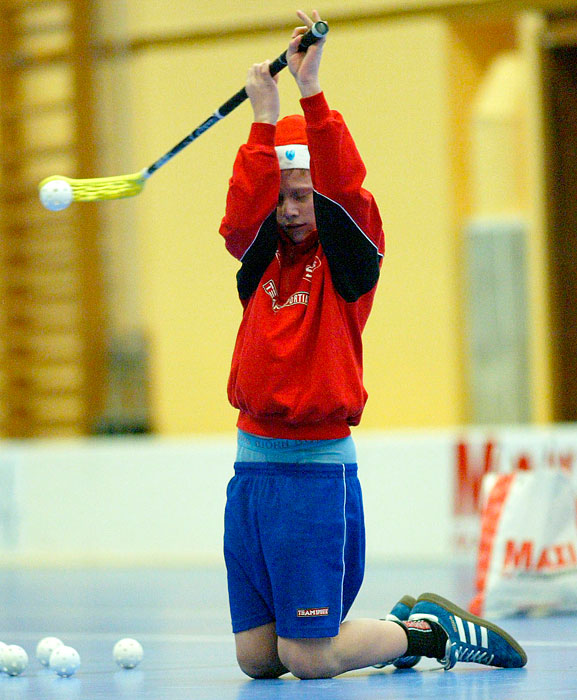 Skövde IB-Bergdalen,herr,Arena Skövde,Skövde,Sverige,Innebandy,,2006,11942