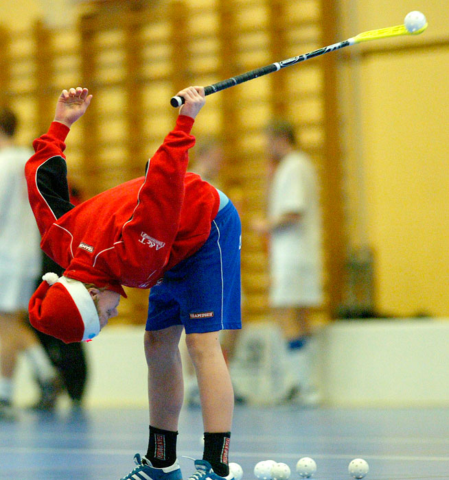 Skövde IB-Bergdalen,herr,Arena Skövde,Skövde,Sverige,Innebandy,,2006,11944