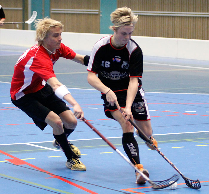 Skövde IB J-Sandareds IB J 6-6,herr,Arena Skövde,Skövde,Sverige,Innebandy,,2009,13427