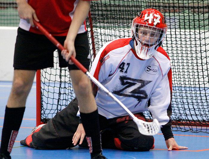 Skövde IB J-Sandareds IB J 6-6,herr,Arena Skövde,Skövde,Sverige,Innebandy,,2009,13430