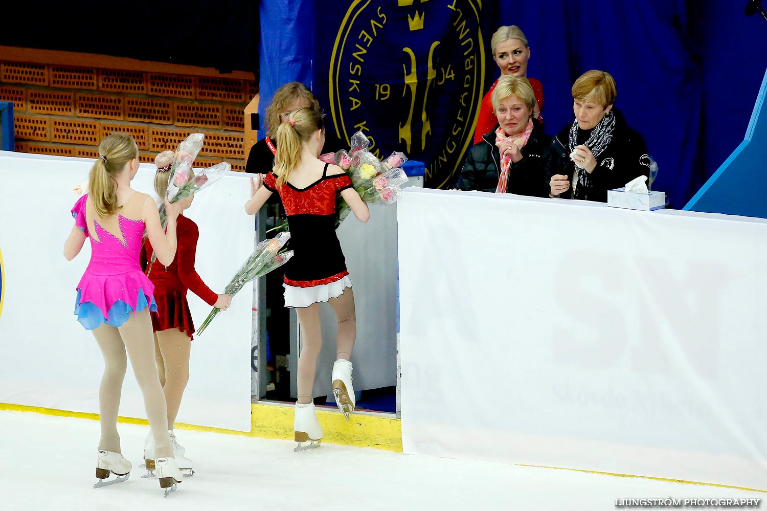 Elitseriefinal Konståkning Söndag,mix,Billingehov,Skövde,Sverige,Konståkning,,2015,114091