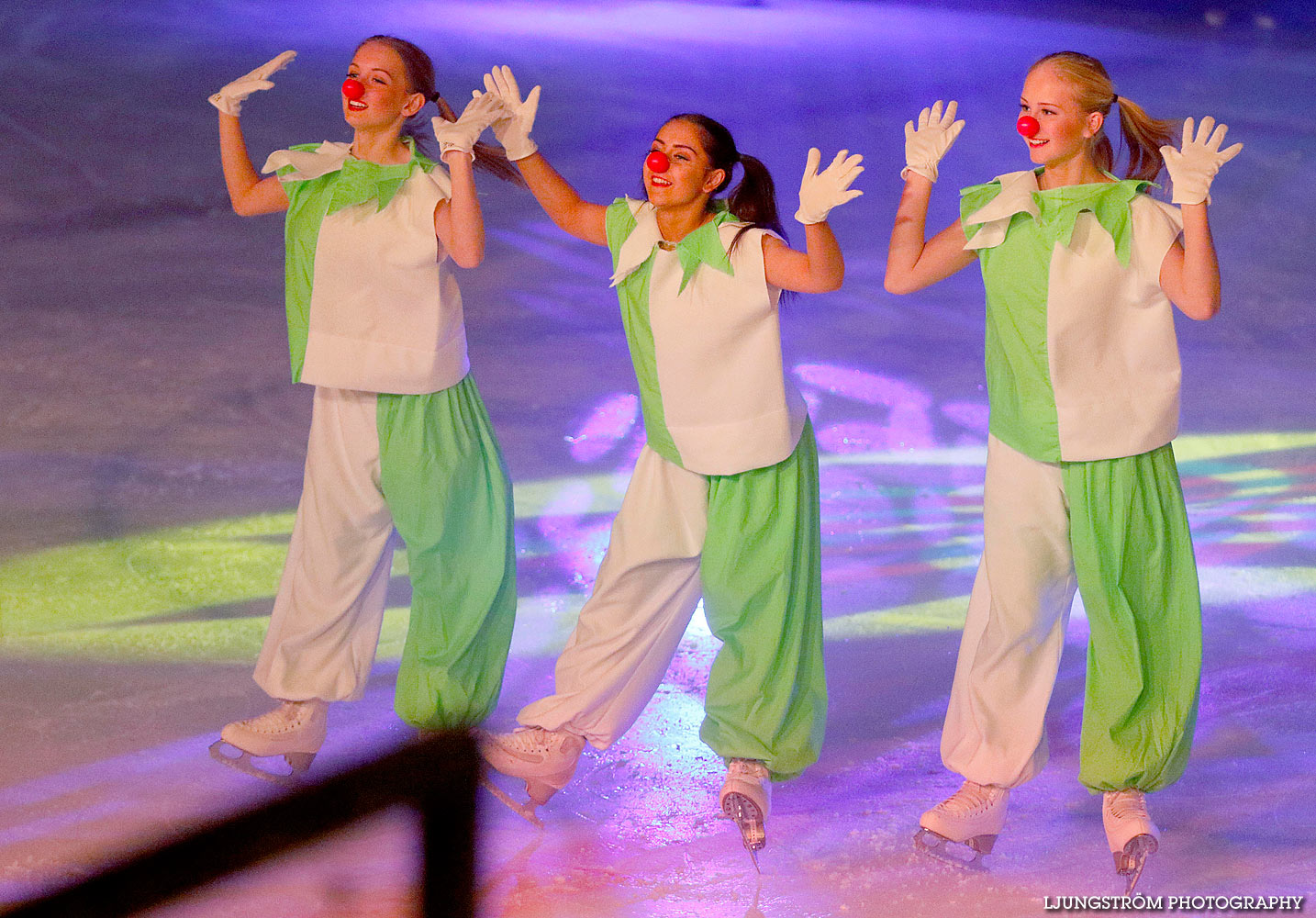 Celebration On Ice,mix,Tibro Ishall,Tibro,Sverige,Konståkning,,2016,136878