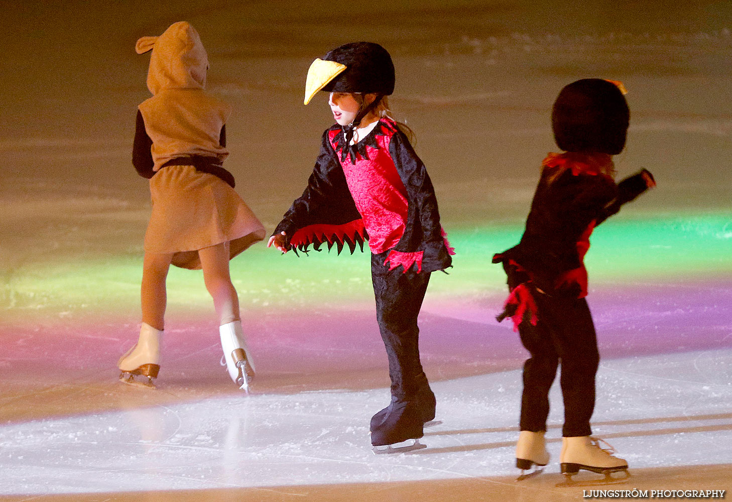 Celebration On Ice,mix,Tibro Ishall,Tibro,Sverige,Konståkning,,2016,136893