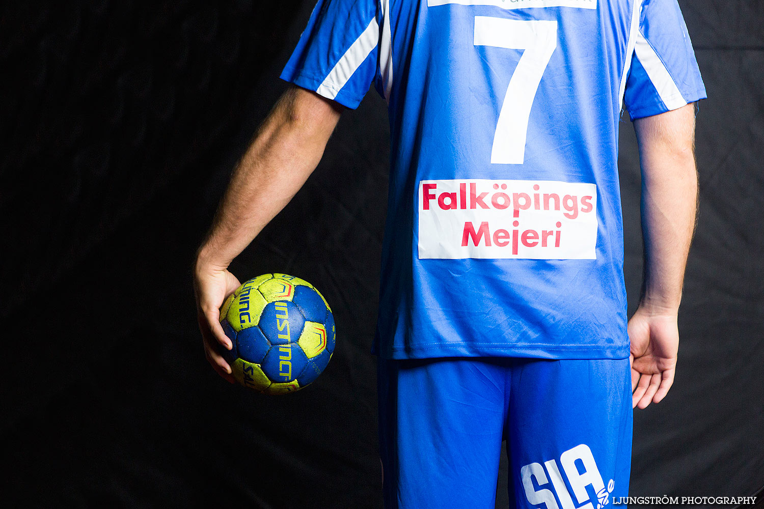 IFK Skövde HK 2015-2016,herr,First Hotel Billingehus,Skövde,Sverige,Lagfotografering,,2015,130781