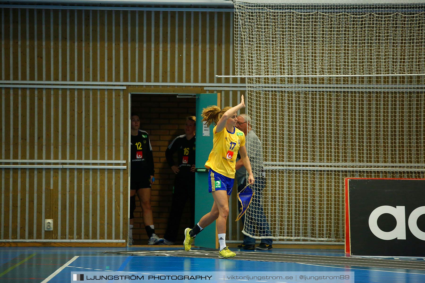 Landskamp Sverige-Island 32-24,dam,Arena Skövde,Skövde,Sverige,Handboll,,2014,150473