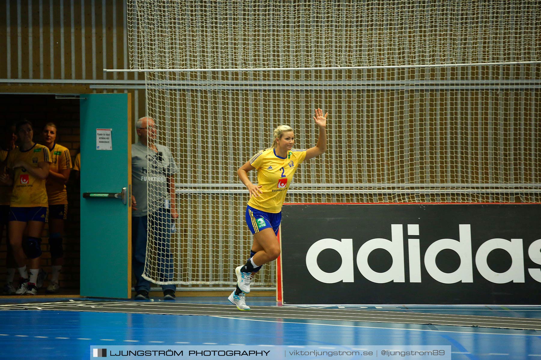 Landskamp Sverige-Island 32-24,dam,Arena Skövde,Skövde,Sverige,Handboll,,2014,150493