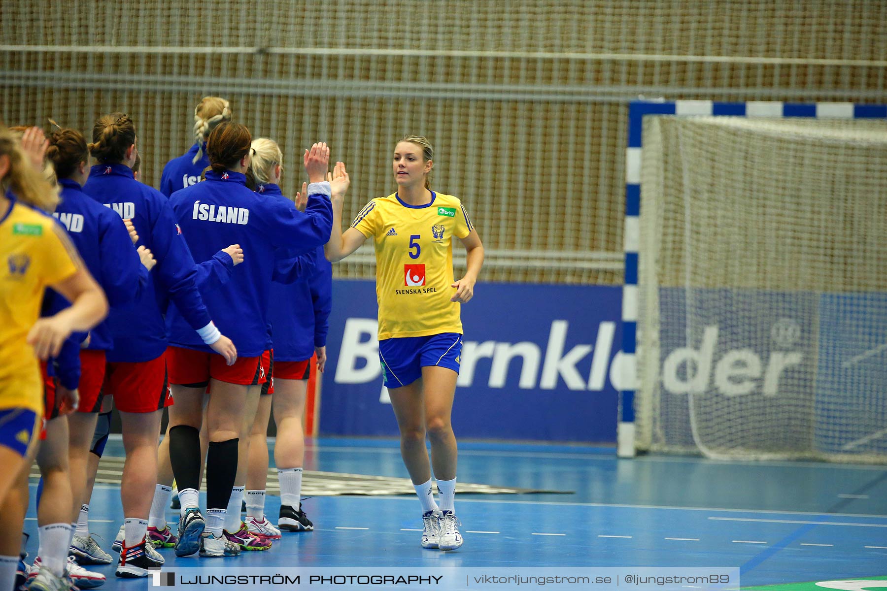 Landskamp Sverige-Island 32-24,dam,Arena Skövde,Skövde,Sverige,Handboll,,2014,150499