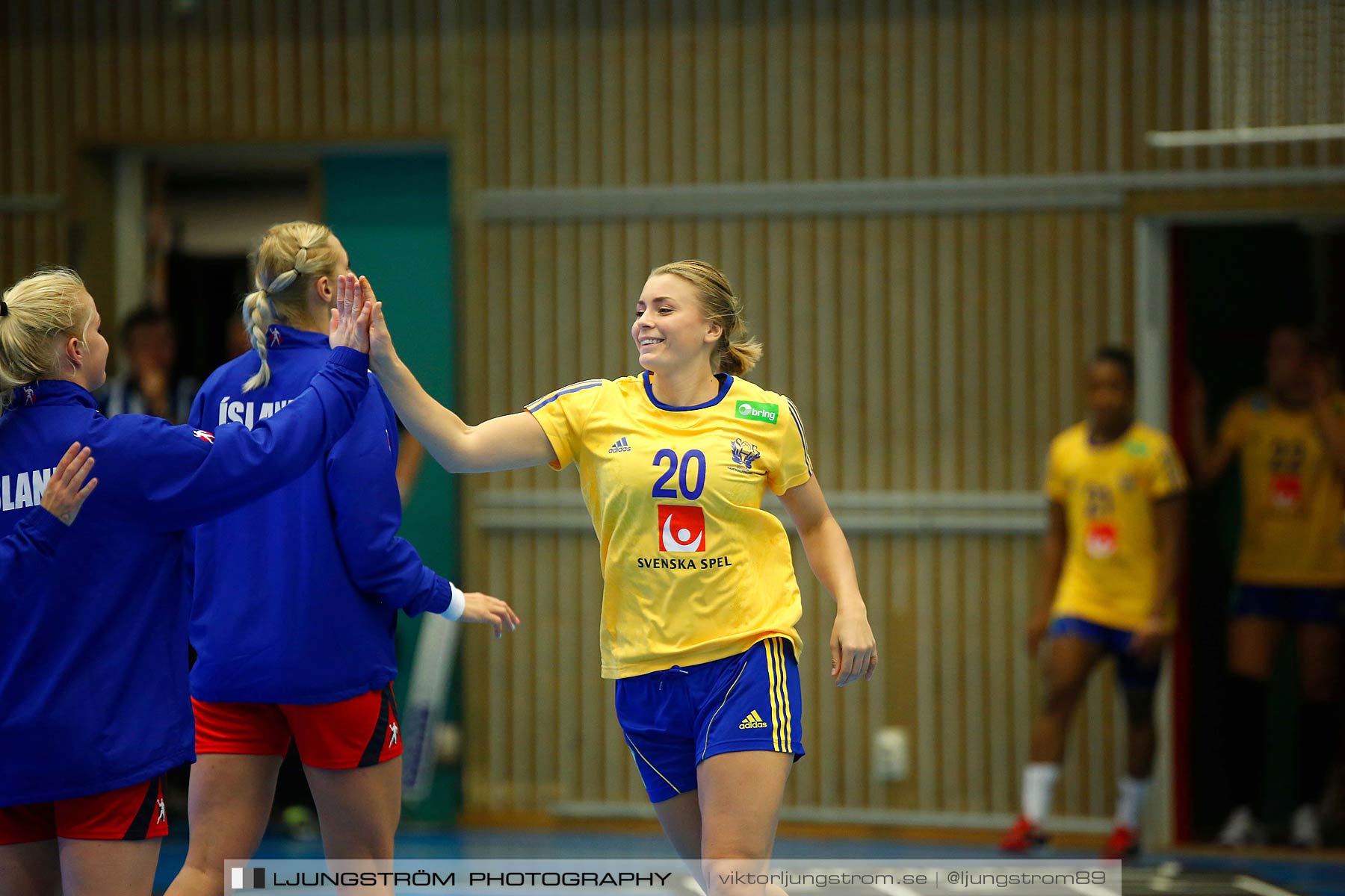 Landskamp Sverige-Island 32-24,dam,Arena Skövde,Skövde,Sverige,Handboll,,2014,150516