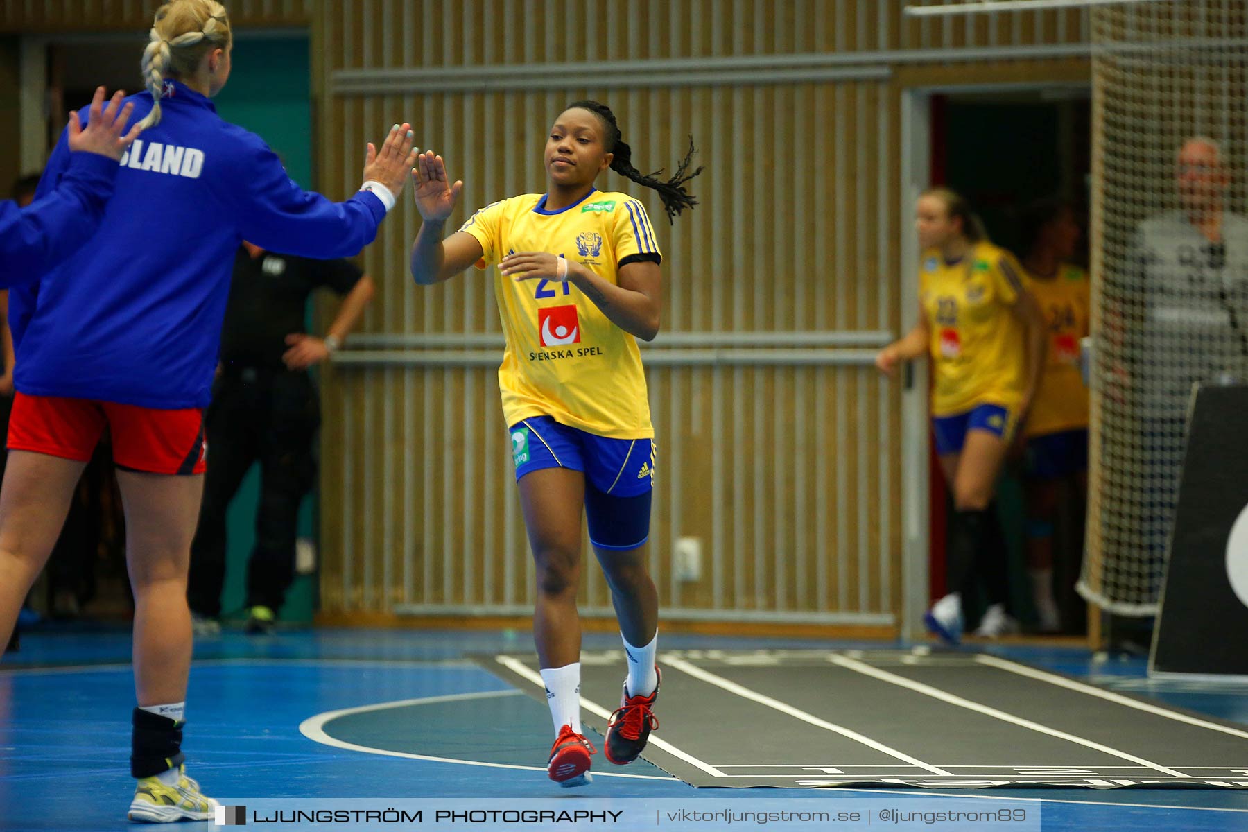 Landskamp Sverige-Island 32-24,dam,Arena Skövde,Skövde,Sverige,Handboll,,2014,150521