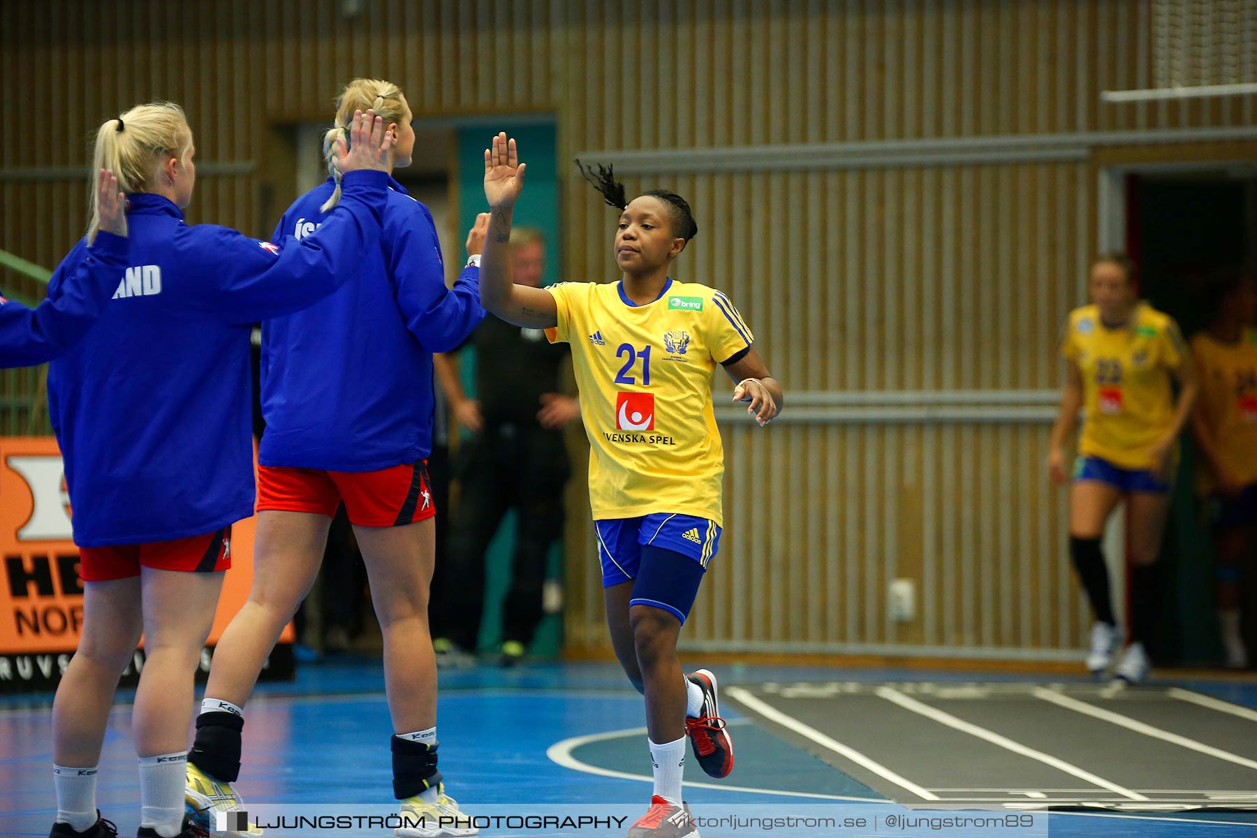 Landskamp Sverige-Island 32-24,dam,Arena Skövde,Skövde,Sverige,Handboll,,2014,150524