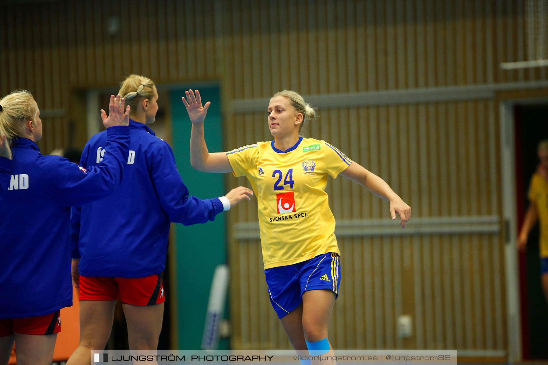 Landskamp Sverige-Island 32-24,dam,Arena Skövde,Skövde,Sverige,Handboll,,2014,150546