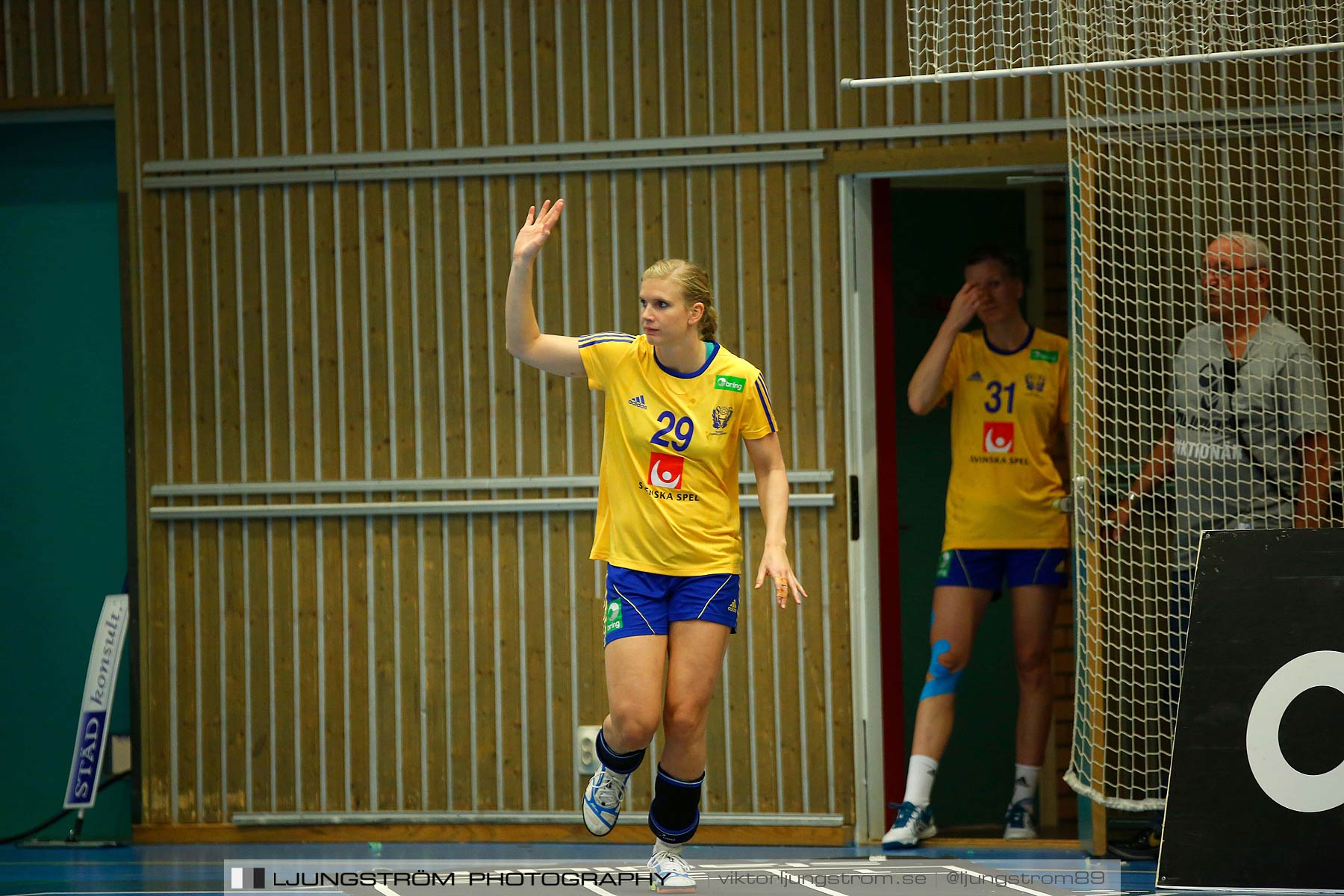 Landskamp Sverige-Island 32-24,dam,Arena Skövde,Skövde,Sverige,Handboll,,2014,150560