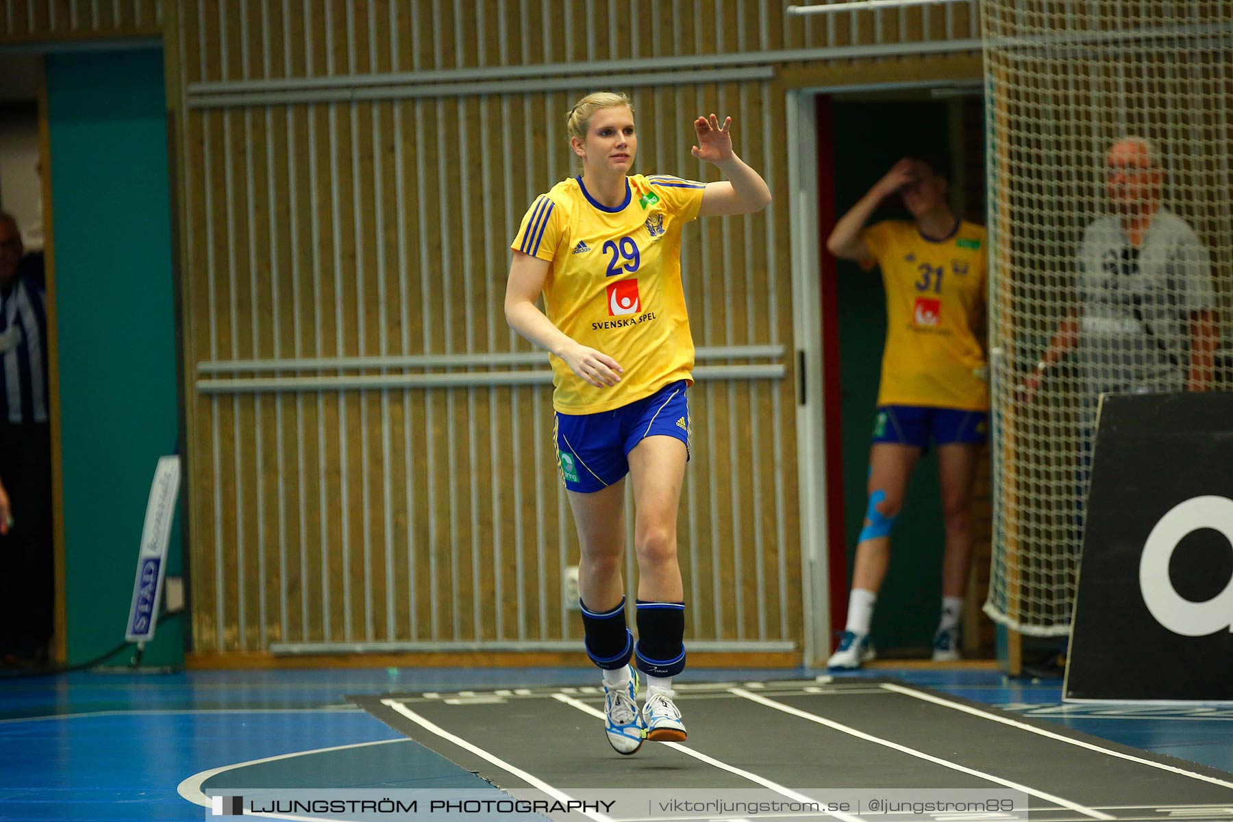 Landskamp Sverige-Island 32-24,dam,Arena Skövde,Skövde,Sverige,Handboll,,2014,150565